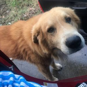 Meet your Posher, Saul